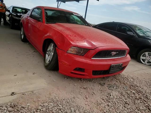 2014 Ford Mustang VIN: 1ZVBP8AM1E5327843 Lot: 65832984