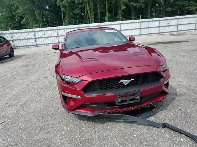 2019 Ford Mustang VIN: 1FA6P8THXK5166608 Lot: 66947584