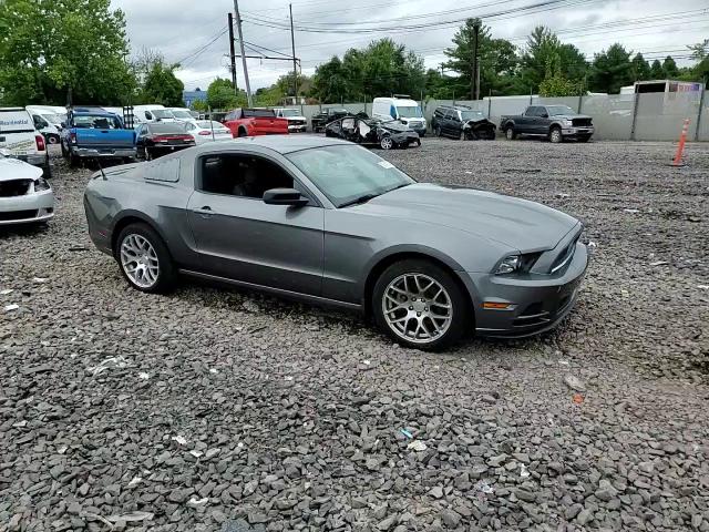 1ZVBP8AM4E5269212 2014 Ford Mustang