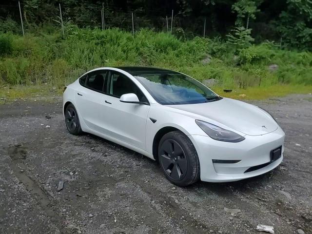 2023 Tesla Model 3 VIN: 5YJ3E1EB6PF611094 Lot: 67749984