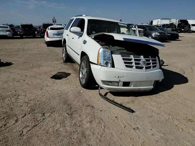 2014 Cadillac Escalade Luxury VIN: 1GYS3BEFXER187592 Lot: 66773334