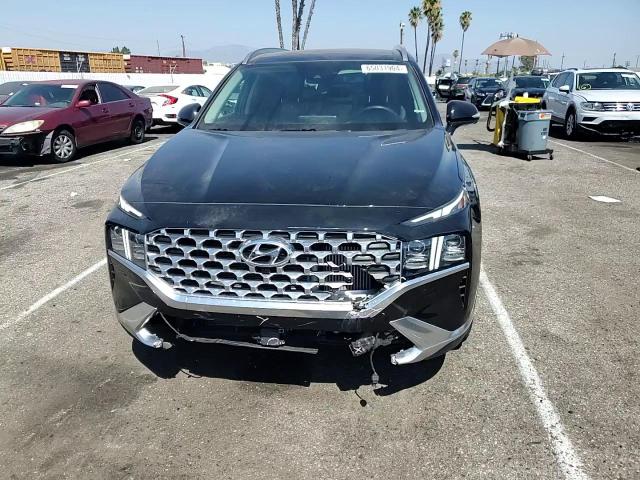 2023 Hyundai Santa Fe Limited VIN: 5NMS44ALXPH579098 Lot: 65031904