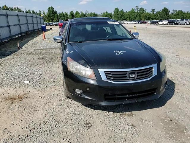 2010 Honda Accord Exl VIN: 1HGCP3F85AA019163 Lot: 67940614