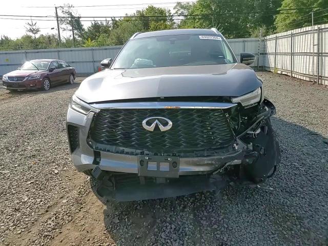 2024 Infiniti Qx60 Luxe VIN: 5N1DL1FS0RC335905 Lot: 69022304