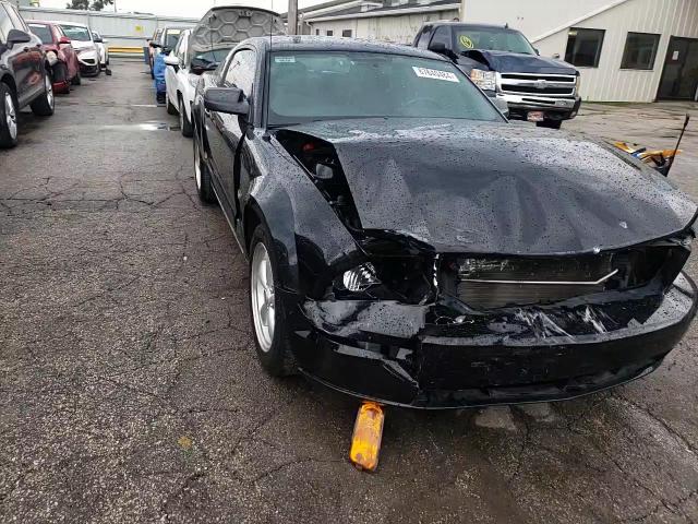 2007 Ford Mustang Gt VIN: 1ZVHT82H975202549 Lot: 67640484