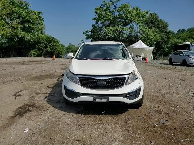 2015 Kia Sportage Lx VIN: KNDPBCACXF7748709 Lot: 69180904