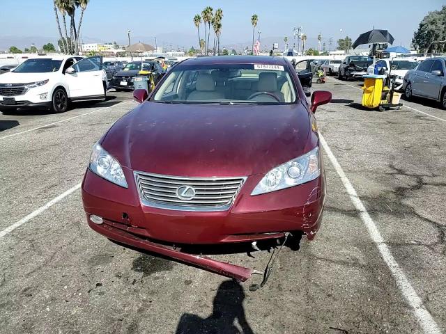 2008 Lexus Es 350 VIN: JTHBJ46G982175282 Lot: 67977244