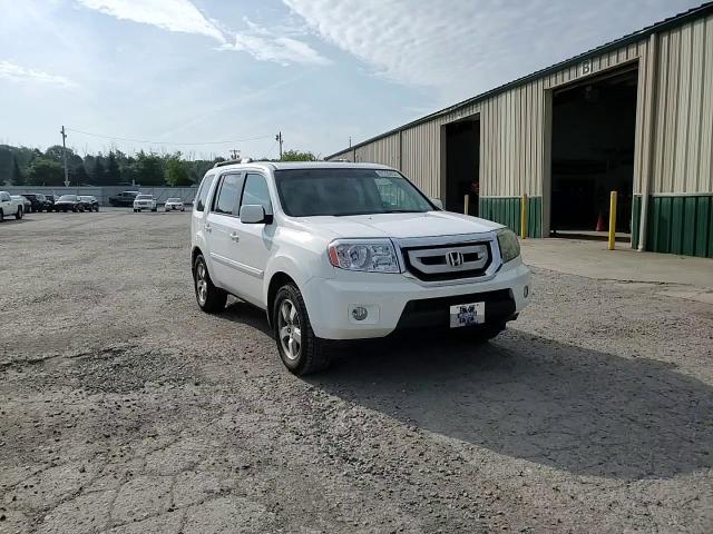 2009 Honda Pilot Exl VIN: 5FNYF48639B044655 Lot: 67239434