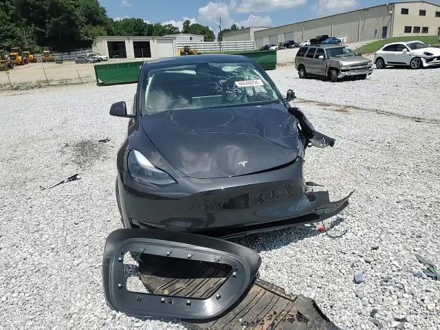 2024 Tesla Model Y VIN: 7SAYGDEDXRF102831 Lot: 66648294