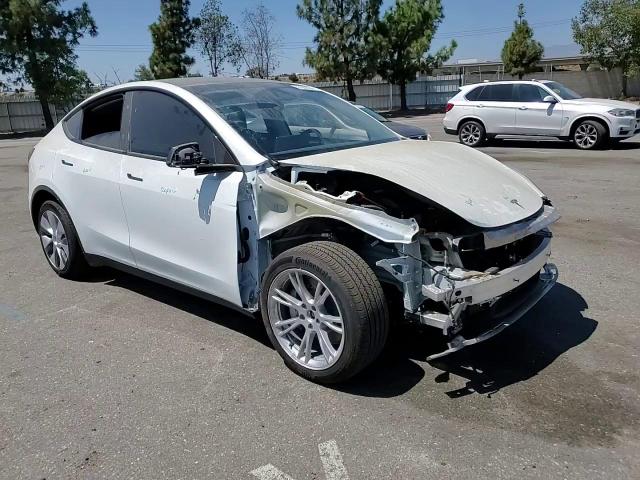 2024 Tesla Model Y VIN: 7SAYGDEE1RF082428 Lot: 67602634