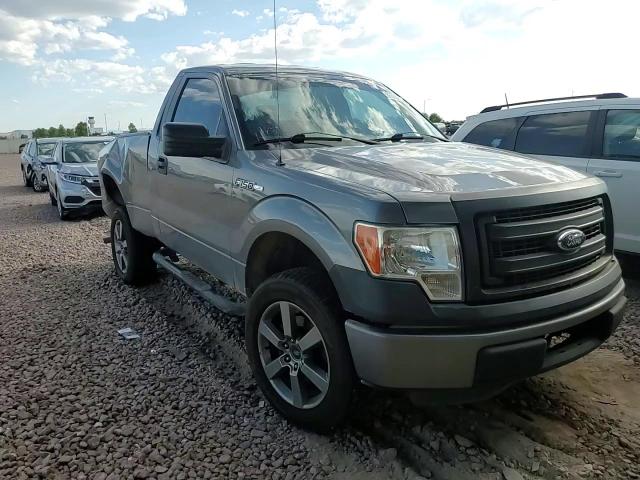 2013 Ford F150 VIN: 1FTMF1CM3DFE06698 Lot: 66398694