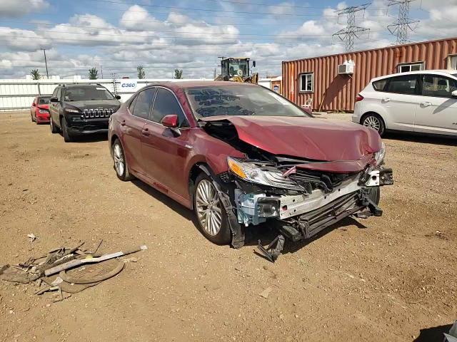 2019 Toyota Camry Hybrid VIN: 4T1B21HK2KU511862 Lot: 67742224