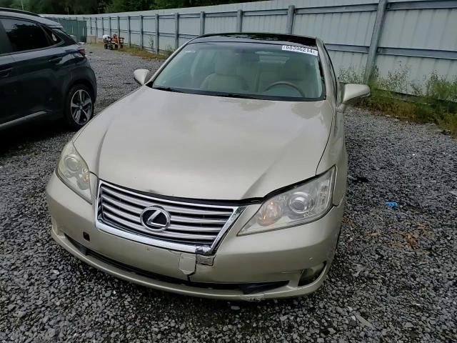 2010 Lexus Es 350 VIN: JTHBK1EG7A2382109 Lot: 68396214