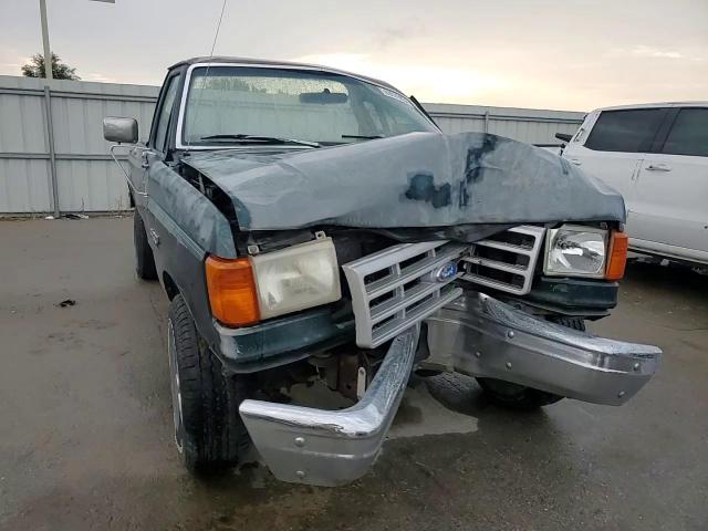 1991 Ford F150 VIN: 1FTEF14H6MKB03184 Lot: 69576934