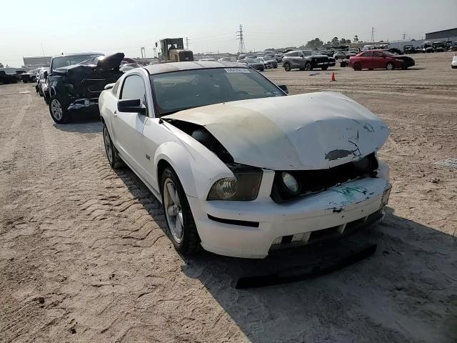 2007 Ford Mustang Gt VIN: 1ZVHT82H675216487 Lot: 66430014