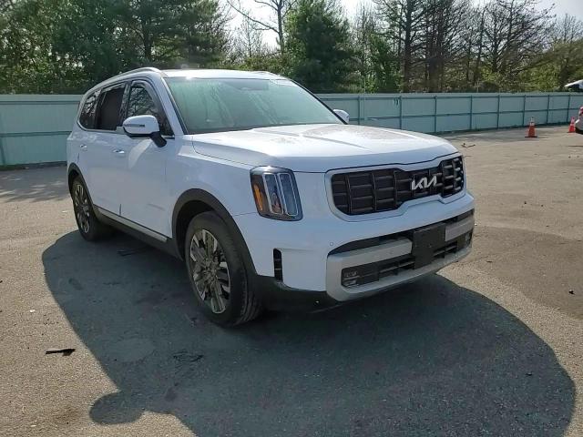 2024 Kia Telluride Sx VIN: 5XYP5DGC1RG473808 Lot: 68314374