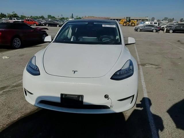 2023 Tesla Model Y VIN: 7SAYGDEE1PA036401 Lot: 66777604