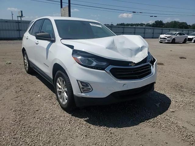 2019 Chevrolet Equinox Ls VIN: 3GNAXSEV8KS561551 Lot: 66994714