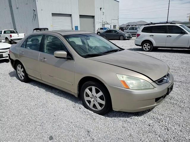 2005 Honda Accord Ex VIN: 1HGCM66595A001593 Lot: 67602374