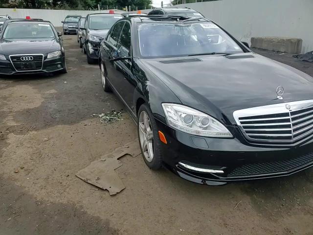 2010 Mercedes-Benz S 550 4Matic VIN: WDDNG8GB7AA324491 Lot: 66389164