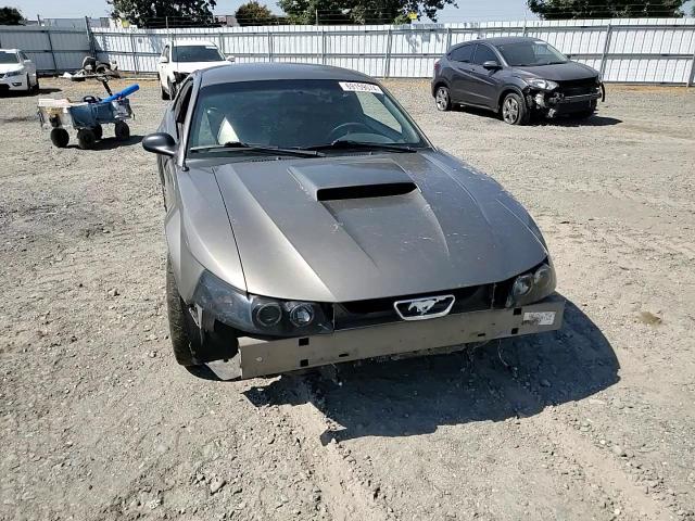 2002 Ford Mustang Gt VIN: 1FAFP42X42F219816 Lot: 69159074