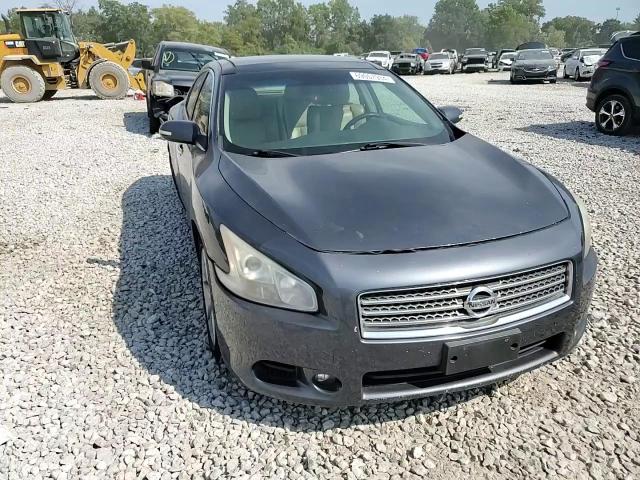 2009 Nissan Maxima S VIN: 1N4AA51E09C844582 Lot: 69057934