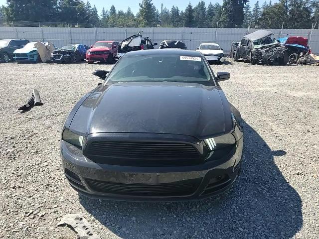 2013 Ford Mustang VIN: 1ZVBP8AM6D5236324 Lot: 69514924