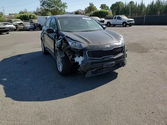 2019 Kia Sportage Lx VIN: KNDPM3AC4K7612483 Lot: 68483294