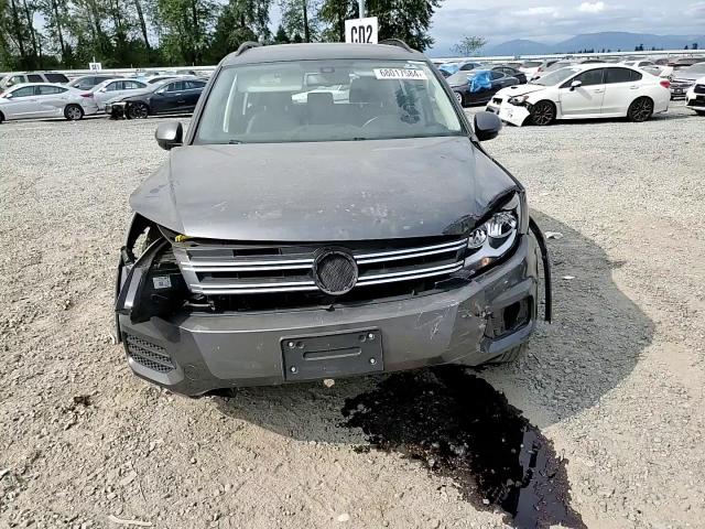 2016 Volkswagen Tiguan S VIN: WVGAV7AX8GW587089 Lot: 68017584