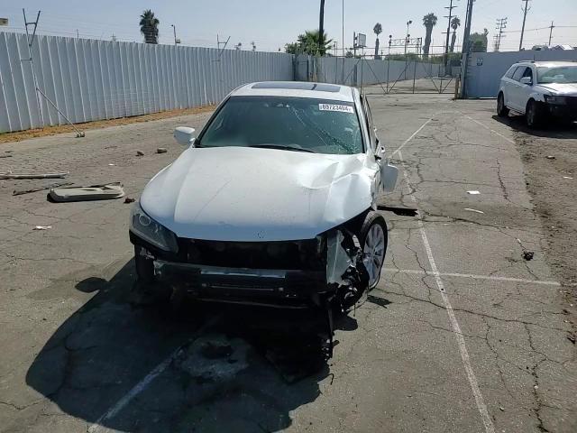 1HGCR3F80DA021188 2013 Honda Accord Exl