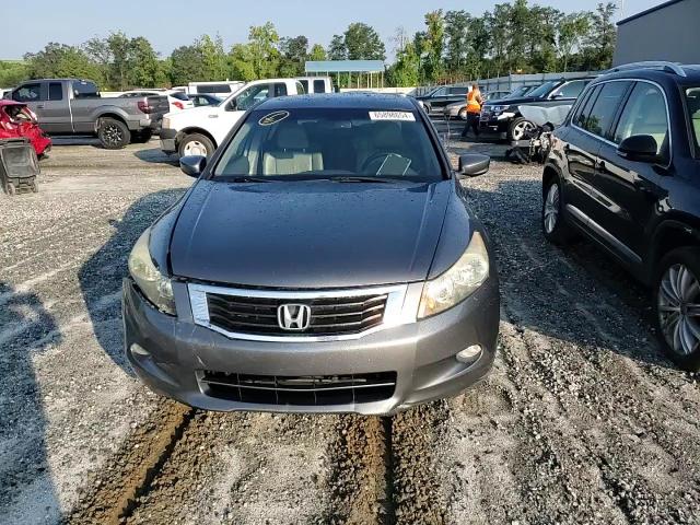 2009 Honda Accord Exl VIN: 1HGCP36889A031951 Lot: 65898654