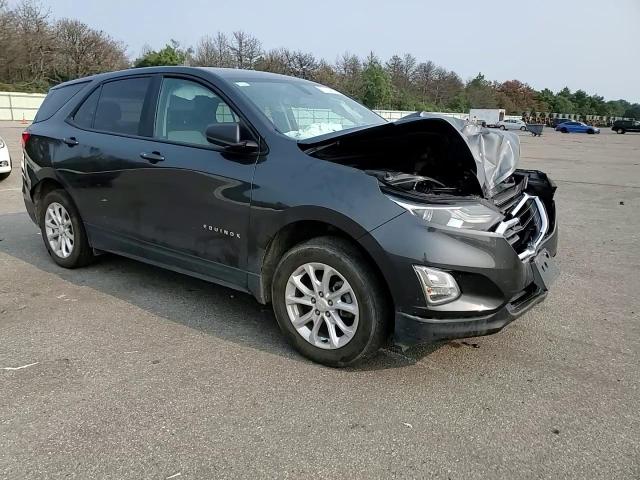 2019 Chevrolet Equinox Ls VIN: 3GNAXSEV6KS546692 Lot: 67184924