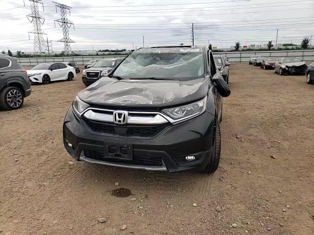 2019 Honda Cr-V Exl VIN: 2HKRW2H88KH607541 Lot: 70563495