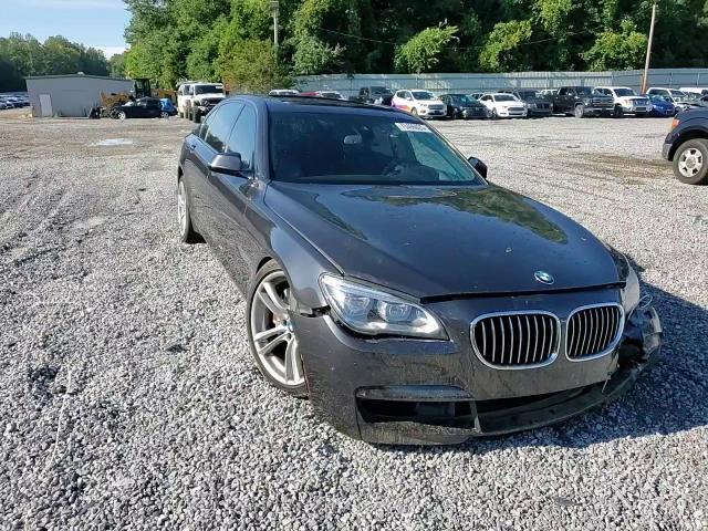 2013 BMW 750 Li VIN: WBAYE8C51DD133663 Lot: 70496025