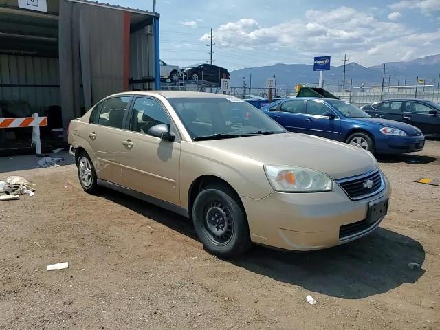 2006 Chevrolet Malibu VIN: 1G1ZS51F06F300119 Lot: 69663555