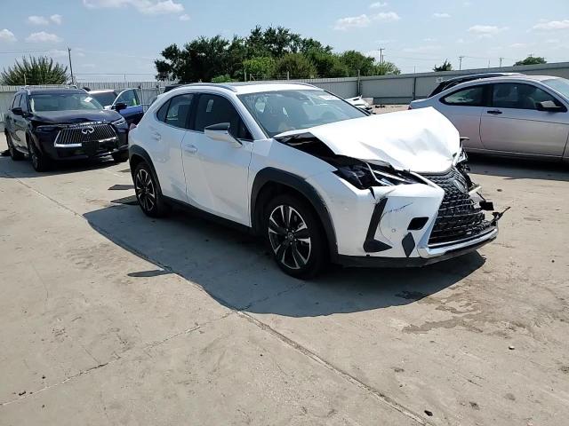 2020 Lexus Ux 200 VIN: JTHP3JBHXL2029804 Lot: 67664265