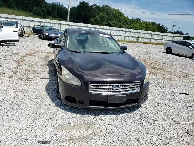 2010 Nissan Maxima S VIN: 1N4AA5AP5AC862694 Lot: 70211195