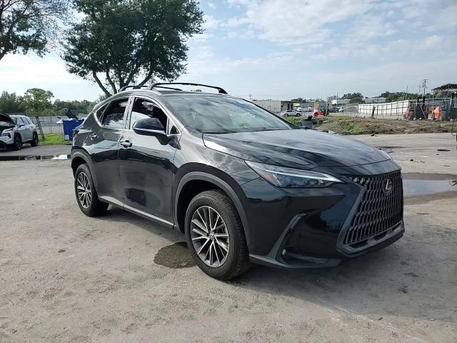 2025 Lexus Nx 250 Base VIN: 2T2ADCAZXSC023202 Lot: 70329565