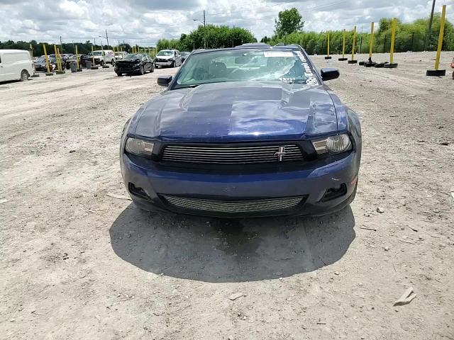 2010 Ford Mustang VIN: 1ZVBP8AN1A5141710 Lot: 67614815