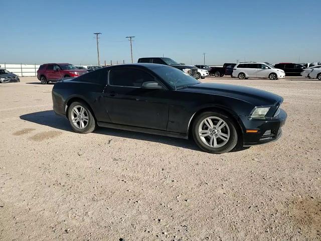 2013 Ford Mustang VIN: 1ZVBP8AM2D5233503 Lot: 67483555