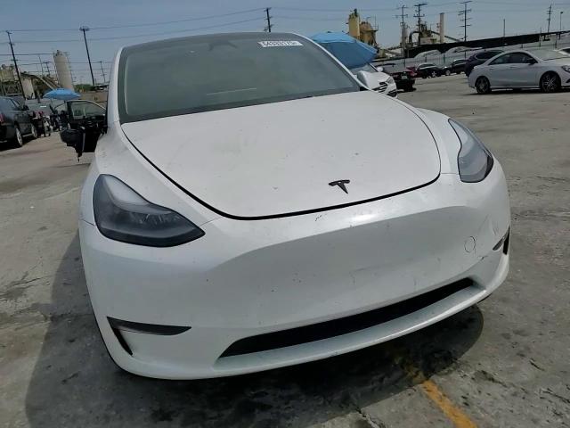 2024 Tesla Model Y VIN: 7SAYGDEE6RF113656 Lot: 64333175