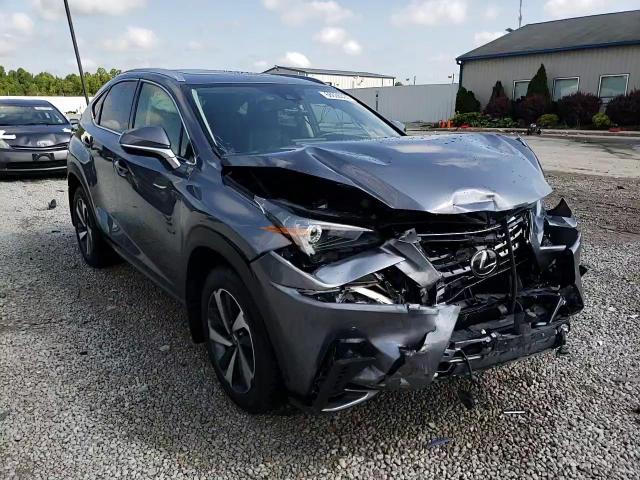2020 Lexus Nx 300 VIN: JTJGARDZ4L5016098 Lot: 68636525