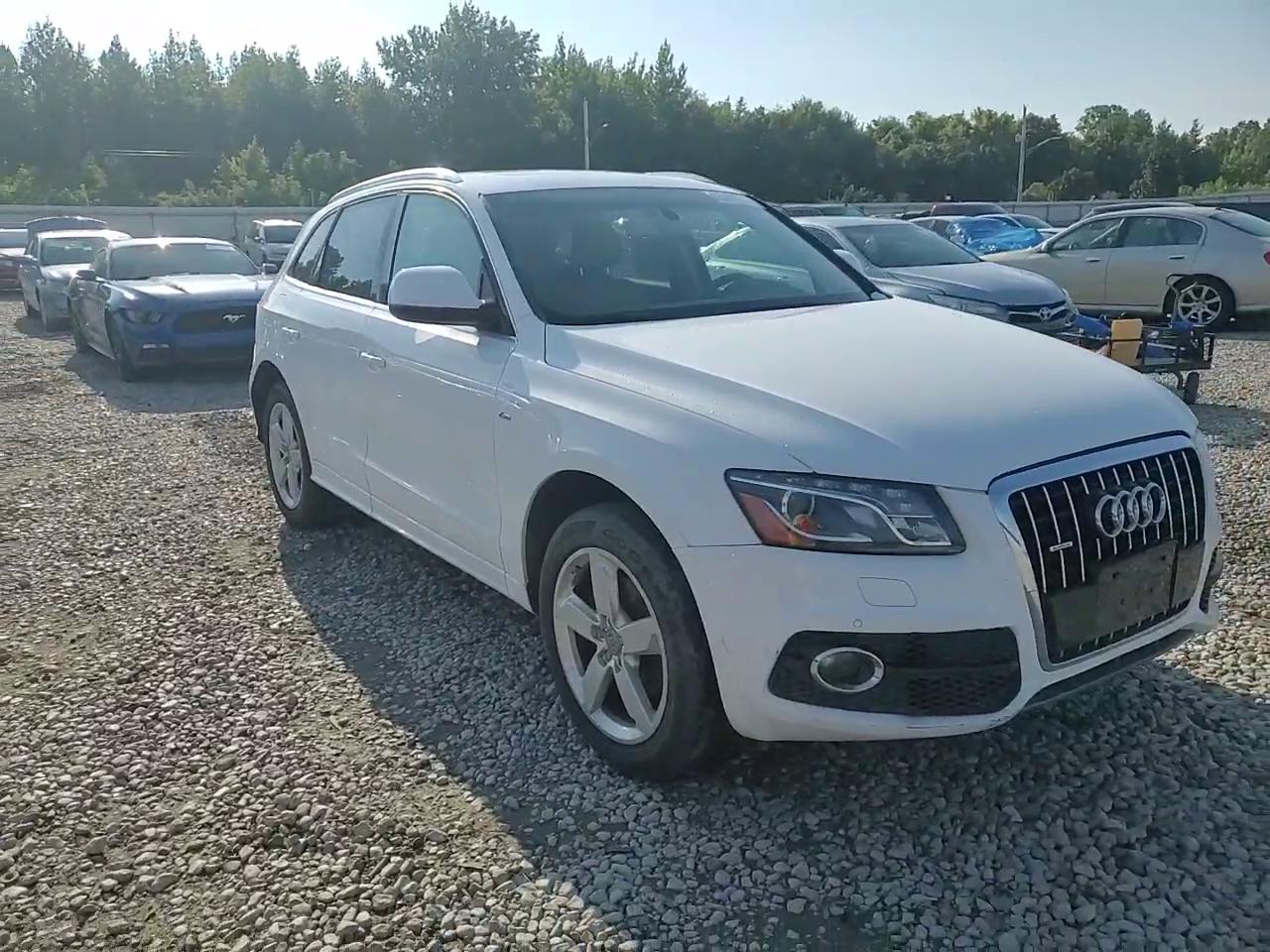 Фото: WA1DKAFP1BA021226