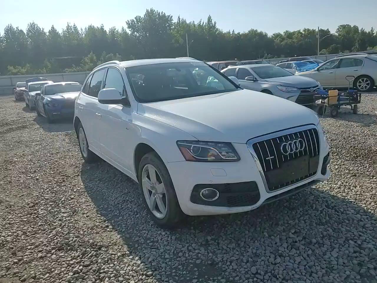 Фото: WA1DKAFP1BA021226