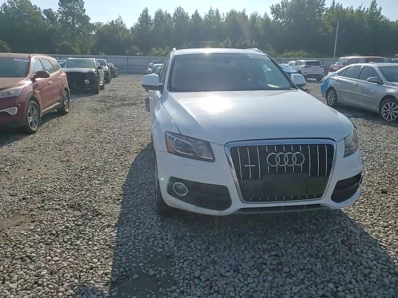 Фото: WA1DKAFP1BA021226