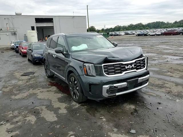 2024 Kia Telluride Sx VIN: 5XYP5DGC0RG426348 Lot: 67683305