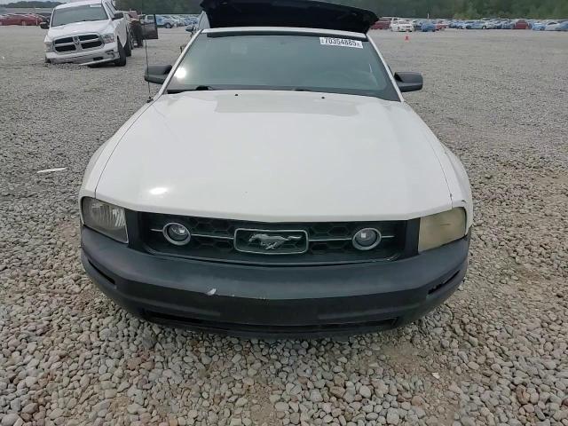 2009 Ford Mustang VIN: 1ZVHT84N795121734 Lot: 70354885