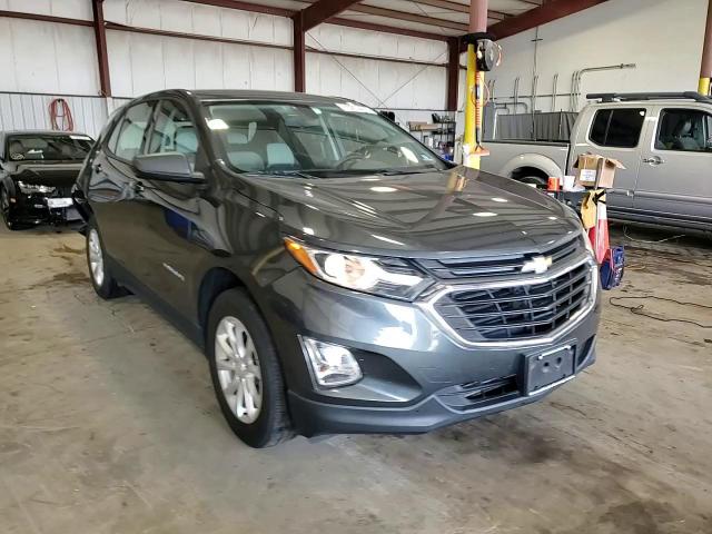 2019 Chevrolet Equinox Ls VIN: 3GNAXSEV2KL208202 Lot: 70253475
