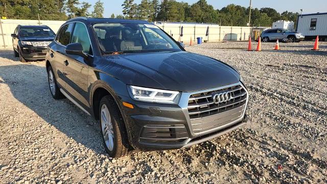 2019 Audi Q5 Premium Plus VIN: WA1BNAFY8K2117162 Lot: 69289415