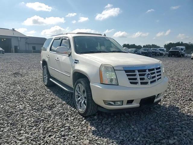 2007 Cadillac Escalade Luxury VIN: 1GYFK63817R167704 Lot: 69863145